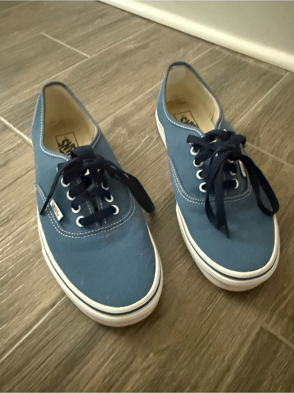 Vans Blue Canvas Low-Top Sneakers